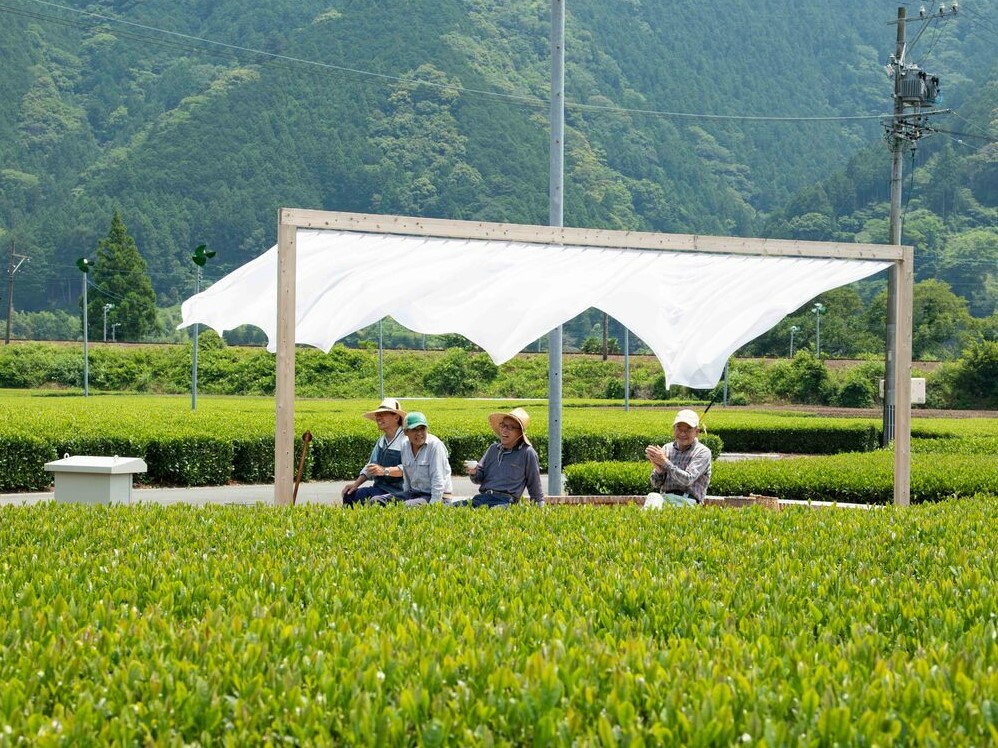 静岡県島田市