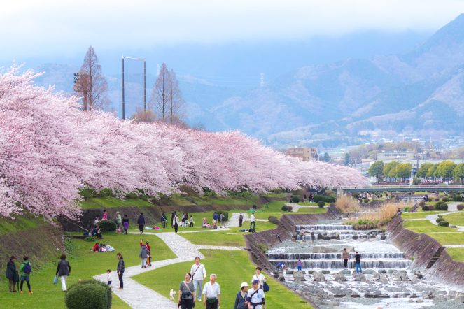神奈川県秦野市
