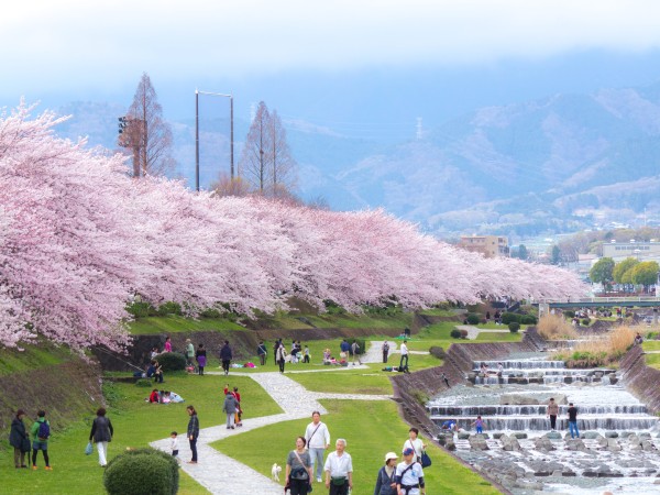 神奈川県秦野市