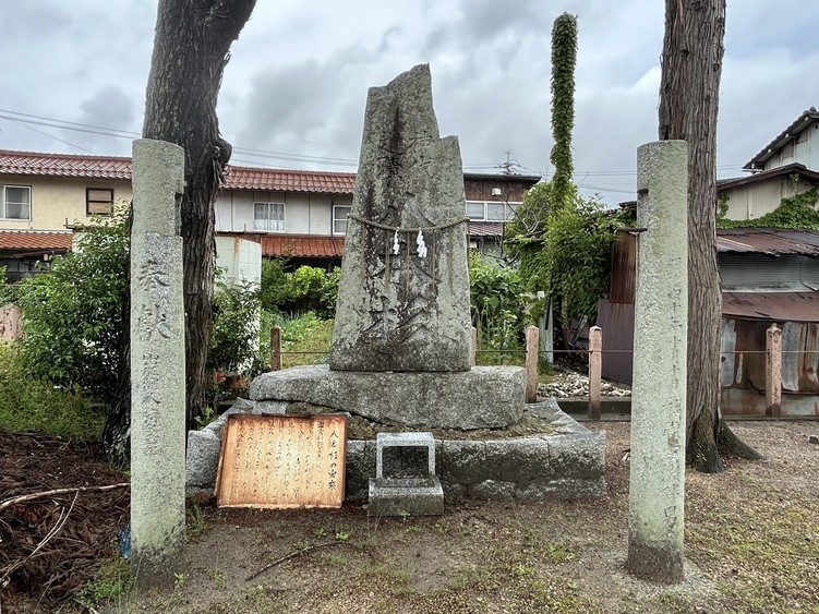 画像：八本杉（八岐大蛇の首が埋められているといわれる）