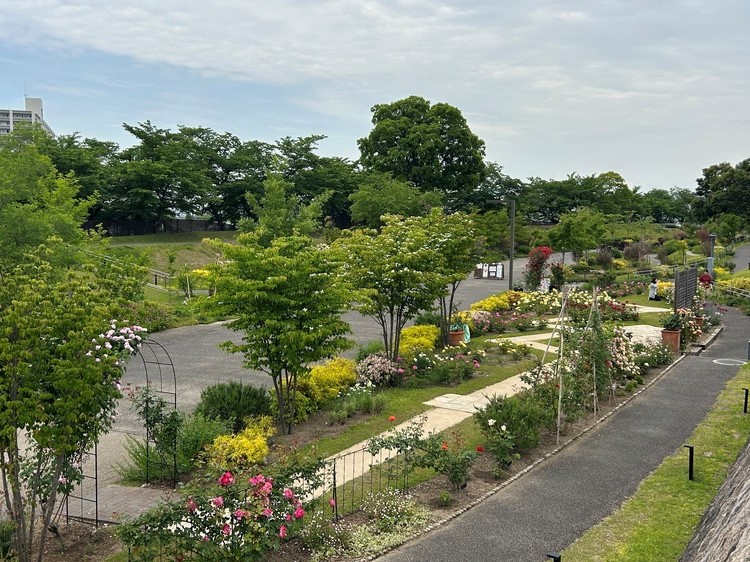 画像：草津川跡地公園de愛ひろば