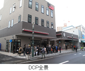 DCP全景