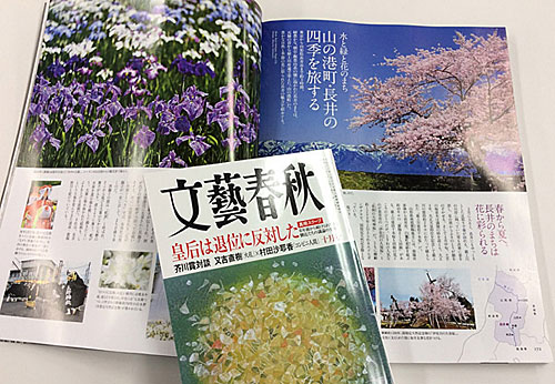 高級路線の雑誌によるプロモーション